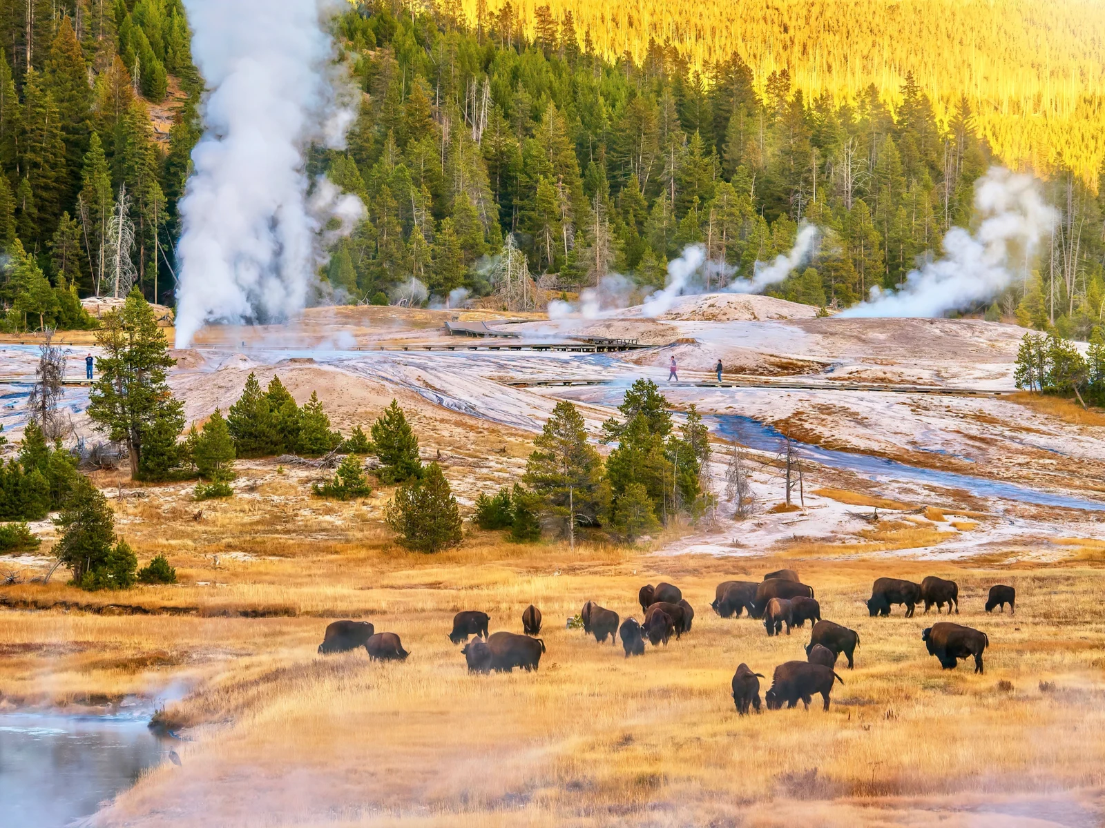 Geyser in Yellowstone National Park, one of the very best places to visit in Montana