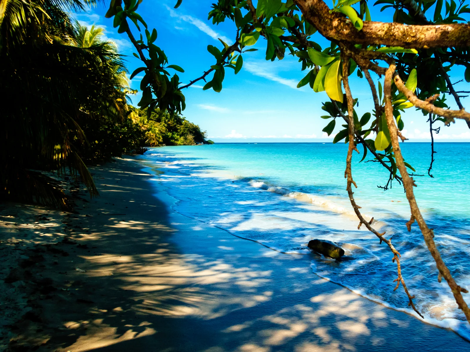 Cahuita as seen from the jungle, one of the best places to visit in Costa Rica