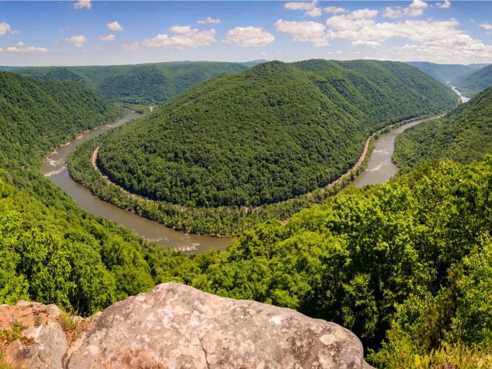 A curve road in between a river and thick green forest at The New River Gorge, one of the best attractions in West Virginia