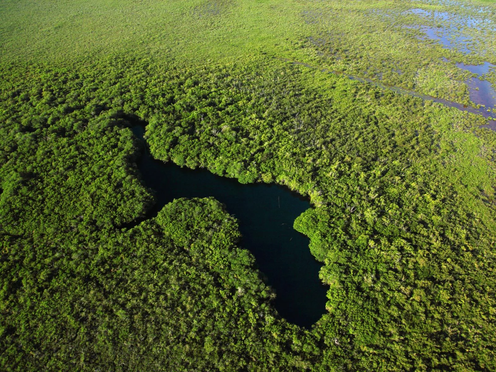 Aerial shot of the famous Sian Ka'an Biosphere as a piece on the best beaches in Cancun, surrounded by thick layers of Mangroves and houses a diverse ecosystem