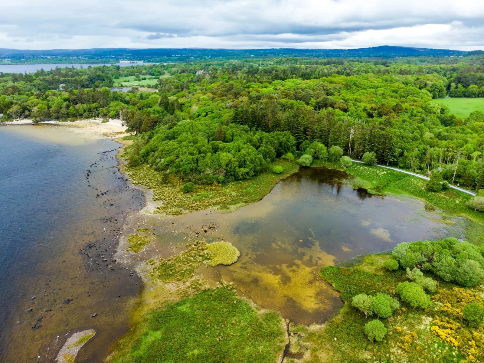 Aerial view on flourishing trees and bushes on Spring and a trail beside still waters of Muckross Lake, one of the best hikes in Ireland