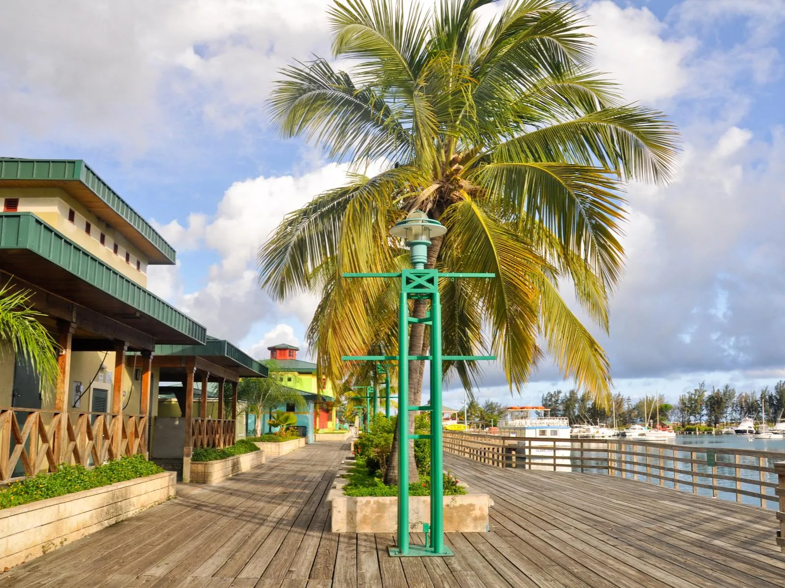 The wide boardwalk with light posts and coconut trees of Ponce, a peaceful avenue and one of the best places to visit in Puerto Rico