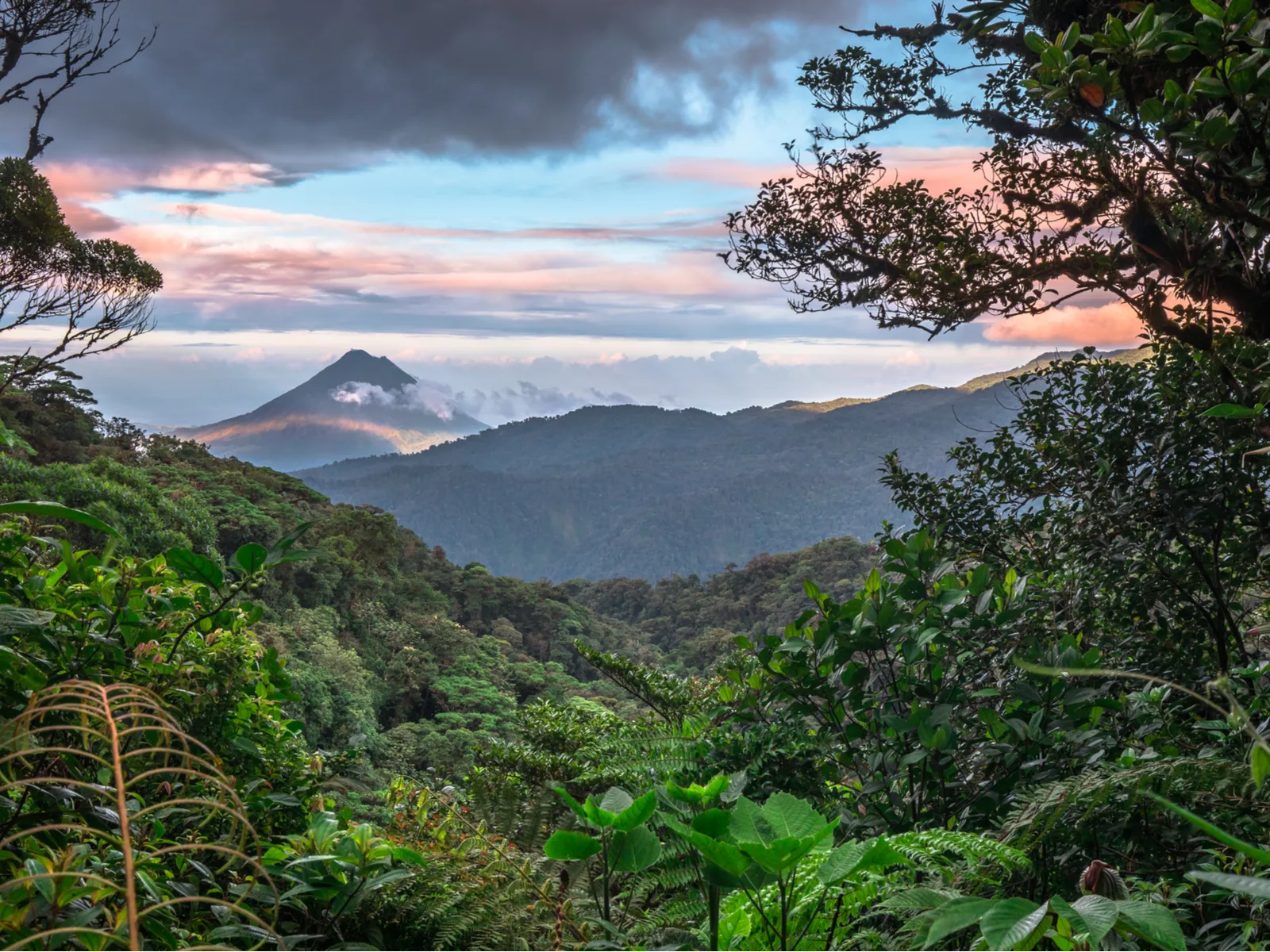 Monteverde volcano and forest, one of the best places to visit in Costa Rica