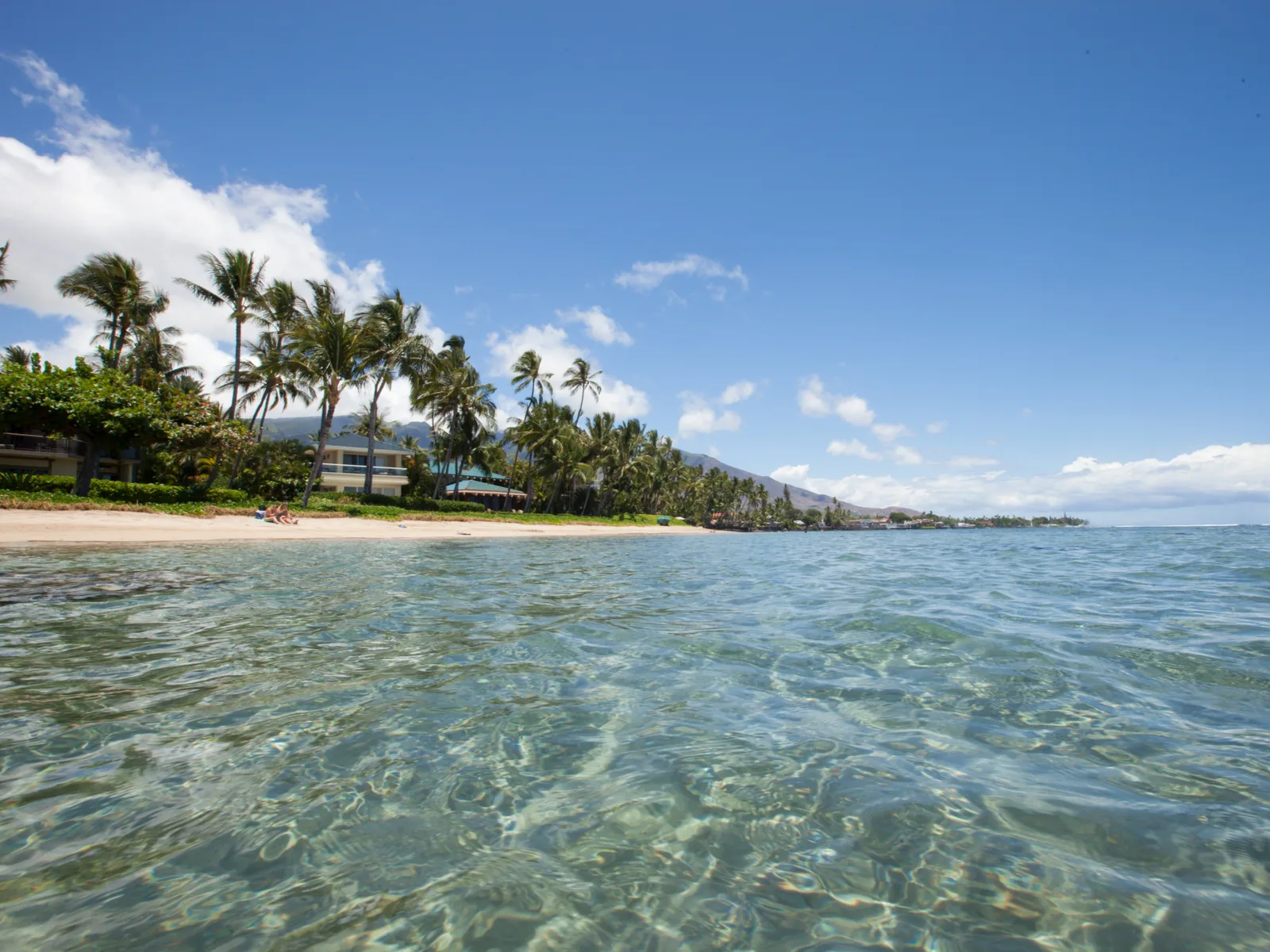 Two women sitting on the shore with lined palm trees at Baby Beach on Maui, pictured offshore for a piece on the best beaches in Kauai