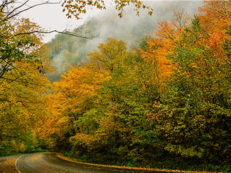 Gorgeous windy road through Manchester, Vermont