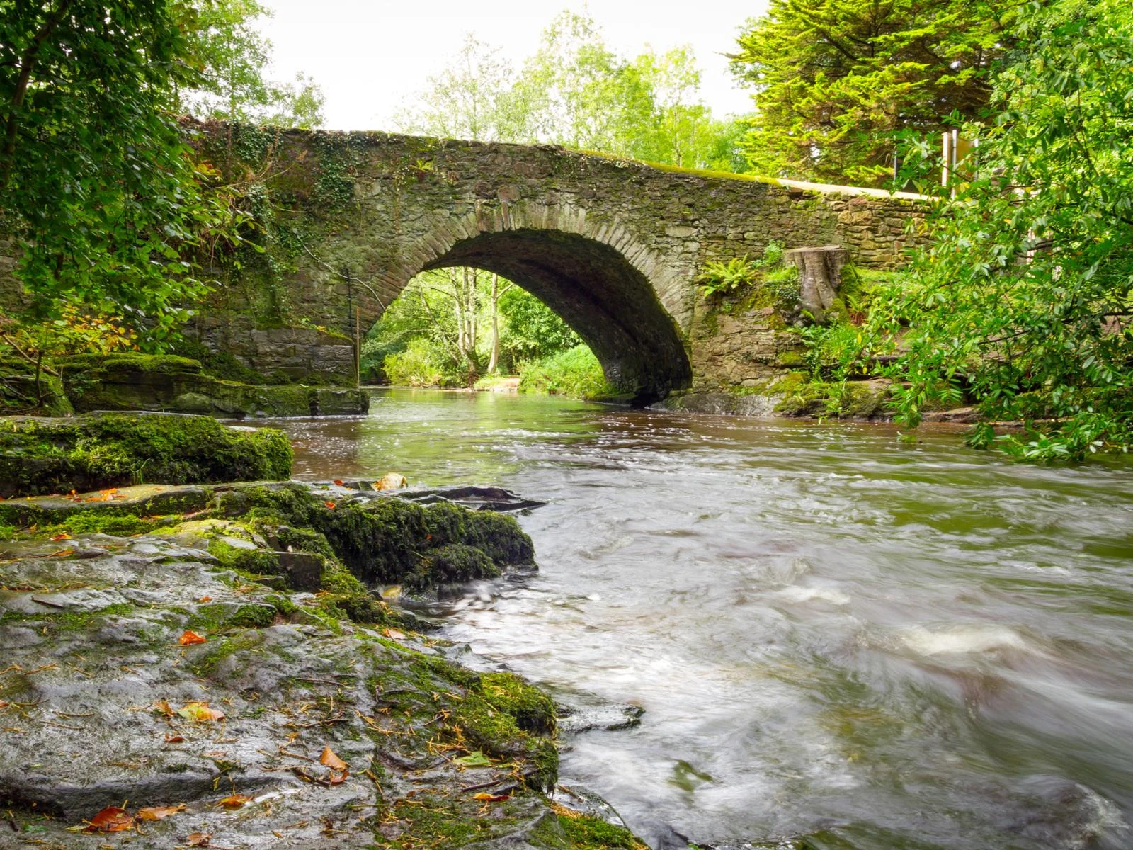 A small foot bridge made from bricks and moss-infested rocks near riverbank at Clare Glens, one of the best hikes in Ireland