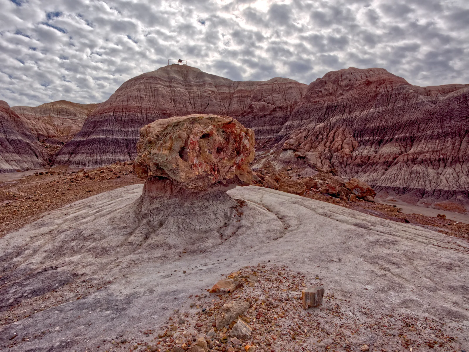 Petrified Forest National Park seen on a cloudy day for a piece on the best places to visit in Arizona