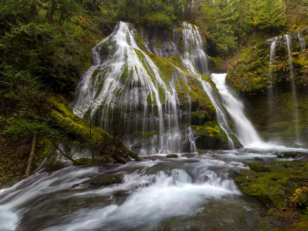 Water rushing over moss and fern covered rocks at Panther Creek Falls, one of the best tourist attractions in Georgia